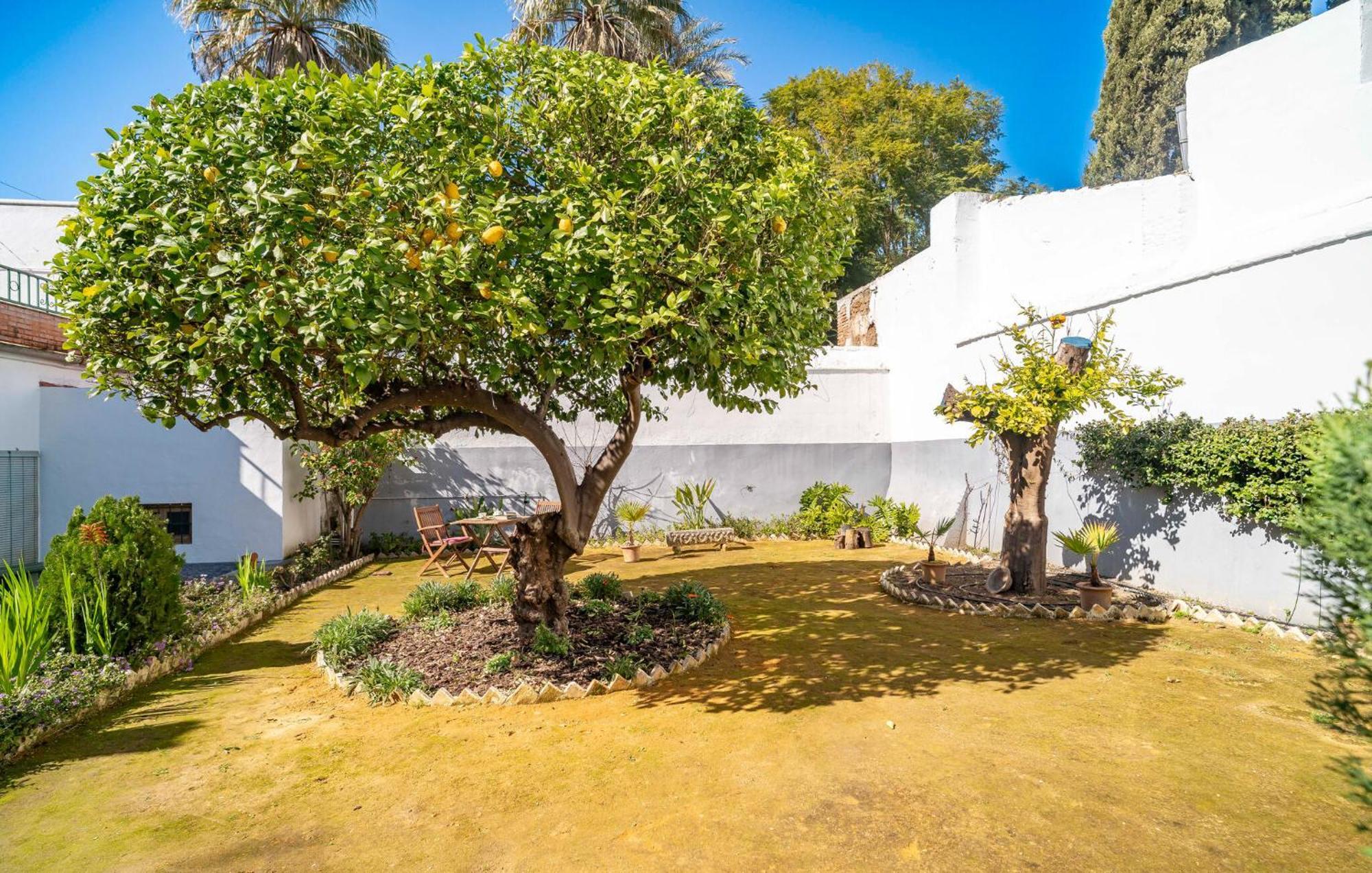 La Casa Del Limonero Leilighet Peñaflor Eksteriør bilde